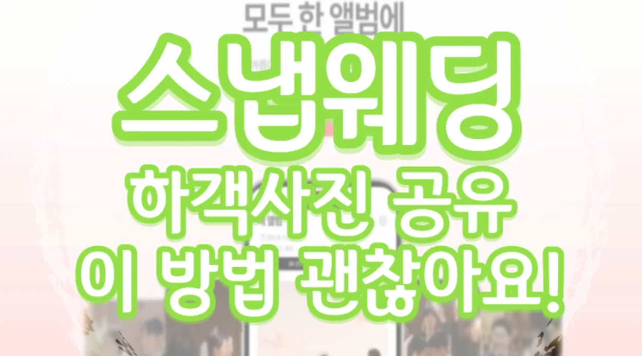 흩어진 사진을 한 번에 정리해요 블로그 후기